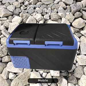 Pour Alpicool 45L double usage 24V/12V voiture et maison réfrigérateur en plastique Portable machine à glaçons congélateur pour camion dortoir petite unité - Product Image 2