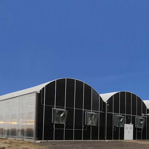 Galvanized steel <b>frame</b>, climate control for <b>plants</b> & vegetable cultivation multi-span blackout greenhouse - Product Image 1