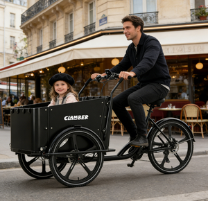 Vélo <span class=keywords><strong>cargo</strong></span> électrique 8 vitesses à prix d'usine, 250W, 3 roues, avec batterie 36V, stock Europe - Product Image 3