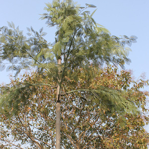 Thảm thực vật chống hồng ngoại và chống Radar cây nhân tạo cây ngụy trang ngoài trời - Product Image 2