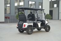 Voiturette de golf électrique 4 places à moteur AC 3,5 kW haute capacité de charge, sièges réglables, batterie au lithium, 30-50 km/h pour parcours de golf