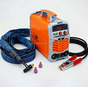 Machine à souder à l'arc à l'argon à courant continu à inverseur IGBT <span class=keywords><strong>TIG</strong></span>/WS-200 (AC220V) - Product Image 1