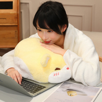 Coussins et oreillers personnalisés 3 en 1, jeté et couverture multifonctionnels, doux et mignons pour les filles et les enfants