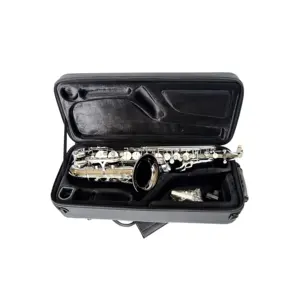 SEA SOUND OEM Professional Schwarz Nickel Körper Silber Tasten Altsaxophon JYAS102DBNS