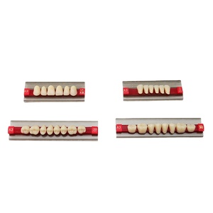 Dentadura Artificial de resina acrílica, dentadura Dental de dos capas - Product Image 2