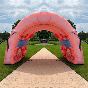 Tunnel de Colon Gonflable Géant pour Expositions Médicales Extérieures, Publicité, Grand Modèle de Colon Humain Gonflable pour Expositions Médicales - Product Image 4