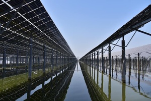 แผงโซลาร์เซลล์ Trina Solar รุ่น Vertex 650W 655W 660W 665W โมโนโซลาร์เซลล์ PV โมดูล 650 วัตต์ แผงโซลาร์เซลล์แบบสองหน้า 665 วัตต์ มีสินค้าในสต็อก - Product Image 6