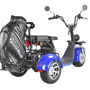 Potente motocicleta eléctrica EEC para adultos de 3 ruedas, nuevo triciclo Citycoco de 3000W, bicicleta eléctrica E Chopper, tipo electrónico inteligente - Product Image 1