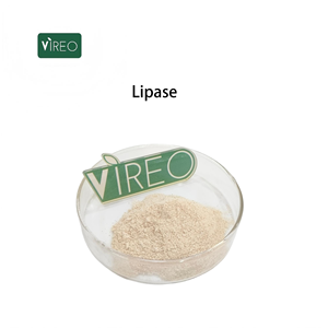 Enzima Lipasi 100000 U/g Grado Alimentare Integratore di Lipasi - Product Image 1