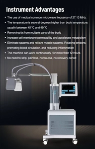 Perte de graisse confortable <span class=keywords><strong>2540m</strong></span> Hz non invasive et aucune période de récupération - Product Image 3