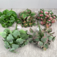 Bunga Hias DKB, Karangan Bunga, dan Tanaman Sukulen Aglaonema, Tanaman Indoor, Tanaman Daun Lembut, Buket Tanaman