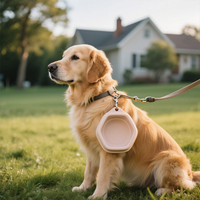 Bol d'alimentation en eau et en nourriture pour chien en silicone pliable personnalisé et écologique pour l'extérieur