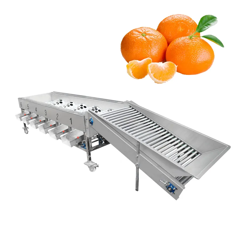 Sebze/meyve sıralama makinesi paslanmaz çelik meyve seçimi/sınıflandırıcı/sıralayıcı/tarama/derecelendirme makinesi kiraz armut tarihi için