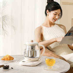 Bollitore Elettrico Multifunzione Scaldabiberon e Conservatore per <span class=keywords><strong>Tè</strong></span>/Caffè in Vetro con Termostato 220V - Product Image 4