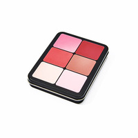 Haute qualité 12 & 16 couleurs fer blanc métal boîtes palette personnalisable Blush ombre à paupières Palette ombre boîte cadres en gros