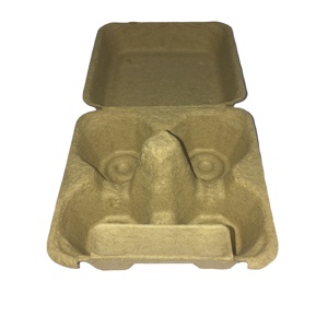 Eco-friendly egg carton box molded paper tray for sale biodegradable moulded pulp egg tray