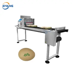Small Egg Code Printing Machine Egg Printer Machine For Egg Print