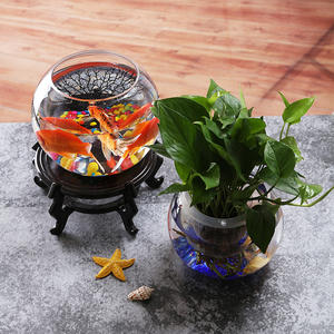 Akuarium Kaca Bulat Transparan untuk Ikan Hias, Ukuran 4 hingga 20 Inci, untuk Dekorasi Rumah - Product Image 4