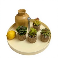 Plante succulente miniature artificielle en pot, verdure en plastique pour la décoration de la maison, du bureau ou de la table.