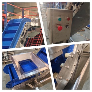 Duurzame constructie voor geïntegreerde voedselsorteerlijn op Braziliaanse boerderijen, voedselveilig materiaal, eenvoudig onderhoud - Product Image 5