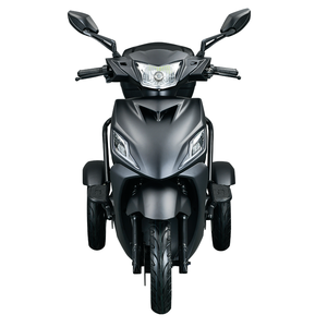 Motocicleta y Scooter Eléctrico de 3 Ruedas 2026, 1000W, Motor Doble sin Escobillas, Aleación de Aluminio, Impermeable, 45km/h, para Adultos - Product Image 1