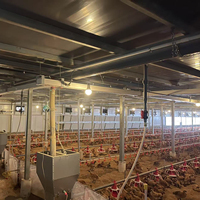 Équipement complet pour élevage avicole : Ensemble de mangeoires et abreuvoirs automatiques pour poulets de chair en élevage au sol