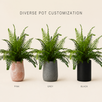Offre Spéciale Oh Arts : Plante Artificielle Petite, Faux Plante en Pot, Fougères