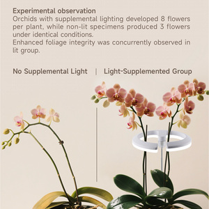 Lámpara LED de 10W para Macetas con Anillo de Luz, Cabezal Redondo, Temporizador Integrado para Orquídeas, Suculentas, Crecimiento y Floración de Plantas, Compatible con OEM y ODM - Product Image 4