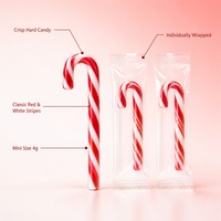 Bâtonnets de bonbons de Noël, bonbons durs à la menthe, mini-bonbons assortis aux saveurs de fruits, sac en vrac pour cadeau d'enfants