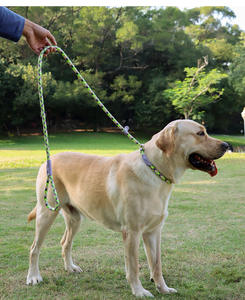 2-इन-1 स्लिप कॉलर डॉग ट्रेनिंग लीड भारी ड्यूटी टिकाऊ वेदरप्रूफ रस्सी लीश रात चलने वाला नायलॉन कुत्ते पट्टा - Product Image 6