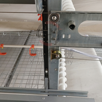 Nouveau système d'alimentation automatique pour cages à poulets de type H, chariot à cage pour poulets de chair, en acier galvanisé à chaud, longue durée de vie, cage de batterie avicole