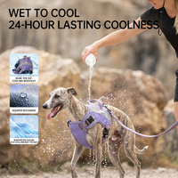Harnais rafraîchissant intelligent Touchdog pour chien, refroidissement par évaporation, 24h de fraîcheur longue durée, changement de couleur, détection de température, harnais d'été pour animaux de compagnie