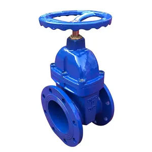 Brass Cap Non-rising Metal Seated Stem Gate Valves Ductile Iron Flanged Ends Gate for Water I Valve