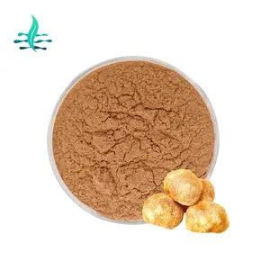 Manufacturers Selling Lion's mane Mushroom Powder