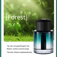 Diffuseur de parfum pour voiture personnalisé OEM portable, 160 ml, diffuseur de parfum pour voiture en verre avec lumière étoile, sans huile, rafraîchisseur d'air pour voiture