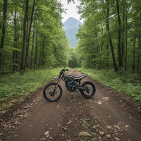 Zuverlässiges Allterrain-Elektro-Offroad-Bike 24,5 kW Surron Ultra Bee für schlammiges und steiniges Gelände