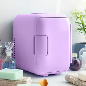 Supplier 12V Portable Small Refrigerator Beauty Fridge Table Mini Fridge For Skin Care Cosmetics