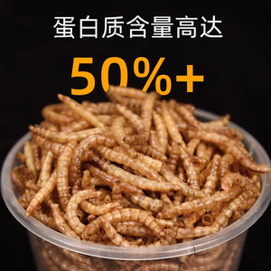 Gusanos de harina para loros, snacks de alta proteína para aves, 550ml, 1200ml, 4000ml, para gorriones, cacatúas y loritas. - Product Image 4