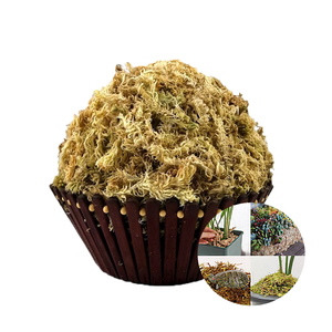 Musgo Sphagnum Chileno Premium para Cultivo de Orquídeas y Plantas Carnívoras - Product Image 1