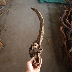 Décor d'aquarium, branches de teck violettes, vent sud-américain, petites branches de bois de soleil naturelles, décoration de réservoir à poissons, bois flotté - Product Image 6