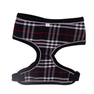 Correa para Perro, Correa de Pecho para Pasear Perros al Aire Libre en Verano, Anti-escape, Cierre de Hebilla Extensible, para Perros Pequeños - Product Image 5