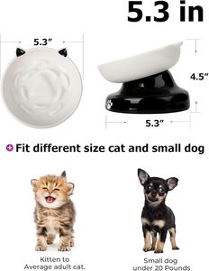 Bol en céramique pour chat à alimentation lente, incliné, surélevé, pour aliments secs et humides - Product Image 4