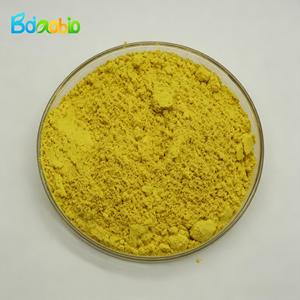 Extrait de Sophora <span class=keywords><strong>japonica</strong></span> de qualité alimentaire Lifecare Biotech, poudre de quercétine - Product Image 5