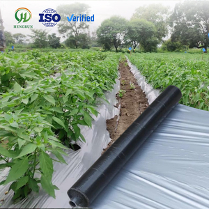 Film de paillage réfléchissant argenté noir pour le réchauffement du sol, moulé par soufflage, anti-mauvaises herbes, protégé contre les UV, film de couverture agricole pour <span class=keywords><strong>tomates</strong></span> - Product Image 2