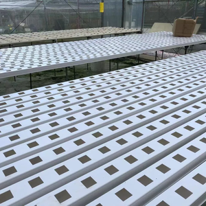 Kit completo de tienda de cultivo hidropónico, <span class=keywords><strong>para</strong></span> tubo de PVC fresa, sistema hidropónico - Product Image 1