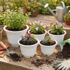 Pot de fleurs en plastique blanc au prix d'usine, fabriqué en PP de haute qualité, avec un design de drainage robuste pour la maison et le jardin A280 - Product Image 2