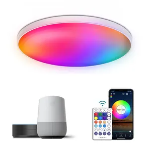 DIY RGBIC Design Ambient RGB LED Decken leuchte WIFI Smart LED Licht