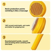 Brosse démêlante autonettoyante pour animaux de compagnie, personnalisable avec logo OEM, marque privée, pour chien et chat, commande en gros, faible MOQ, fournisseur en gros