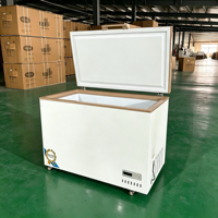 Congélateur vertical commercial à une porte, prix d'usine, refroidissement direct, écologique, économe en énergie, grande capacité pour usage domestique