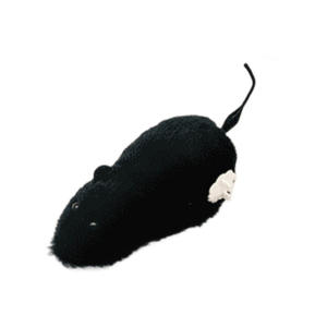 Eco-Friendly gato brinquedo mouse elétrico realista Teaser Wand definido para tédio-alívio completa energia que consome Gadget Green Supplies - Product Image 5